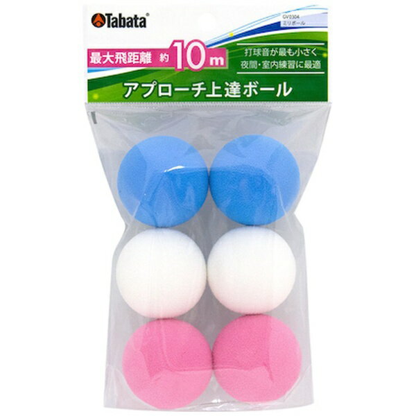 タバタ｜Tabata 室内専用トレーニングボール ミリボール　(6個入り) GV-0304【返品交換不可】 2