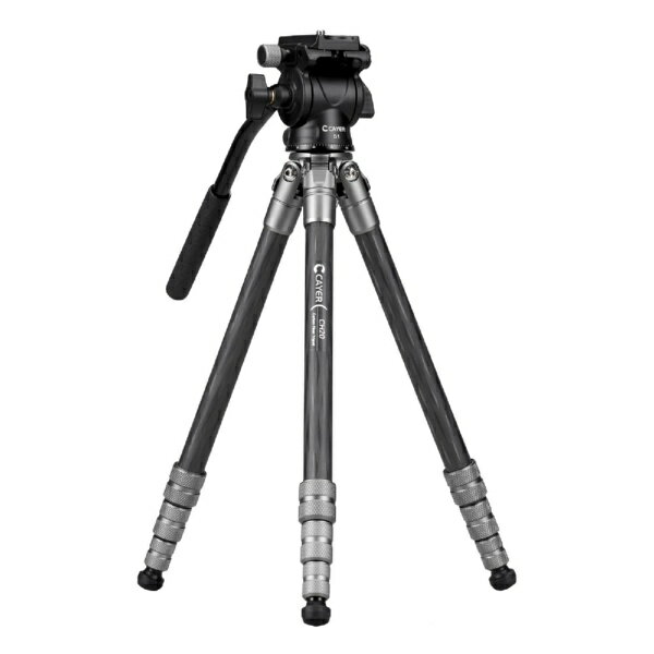 CAYER �����ܥ������̻��� ���졼 CAYER-CH20S1GR [4�� /2WAY����]