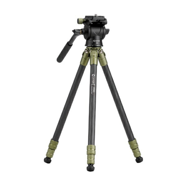 CAYER �����ܥ������̻��� ���꡼�� CAYER-CH10LS1GN [3�� /2WAY����]