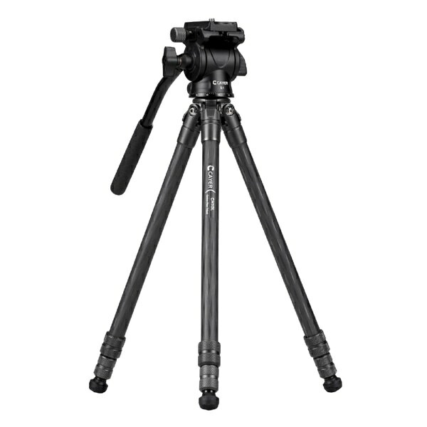 CAYER �����ܥ������̻��� �֥�å� CAYER-CH10LS1BK [3�� /2WAY����]