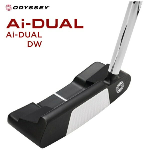 Ai-DUAL DW �p�^�[ [34�C���`]