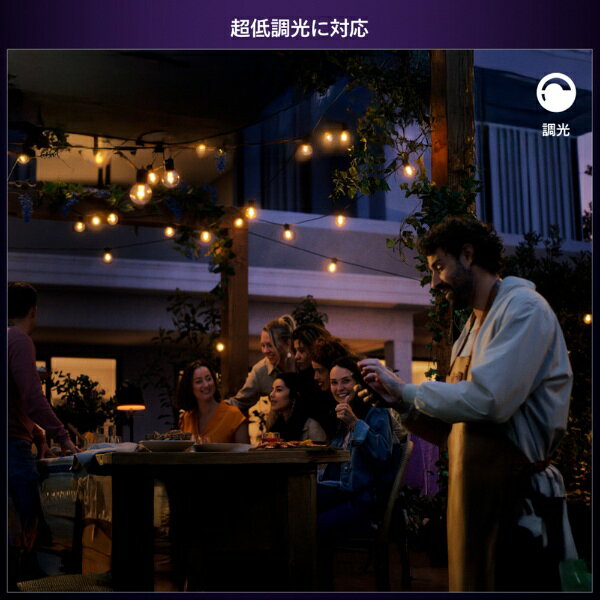 PHILIPS｜フィリップス Philips Hue アウトドアストリングライト 7m フルカラー Ph...