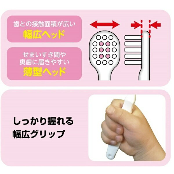 ���ӥ���EBiSU �Ҥɤ��ѻ��֥饷 2-6�� 1���� �ϥ������ƥ�