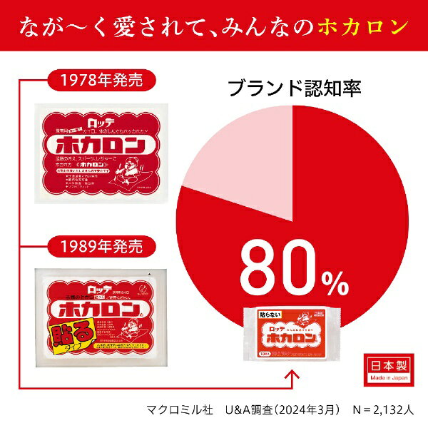 楽天ビック(ビックカメラ×楽天)のロッテ｜lotte 【ホカロン】貼る くつ下用 5足入〔カイロ〕 白｜アングル3