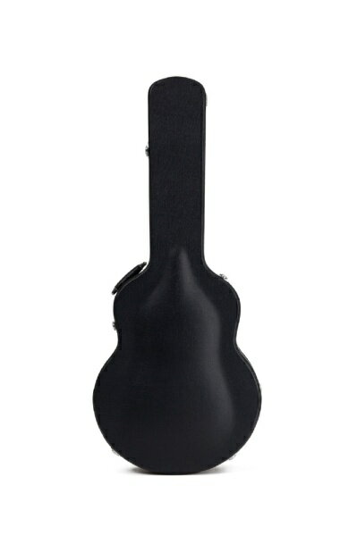 ACCESSBAGS&CASES HC S3 AG ジャンボ AC3JA11