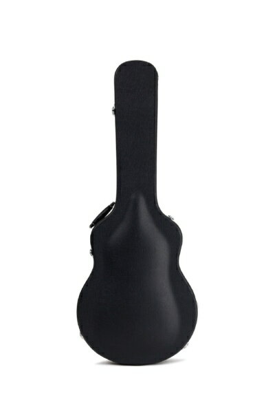 ACCESSBAGS&CASES HC S3 EG セミホロー AC3ES11