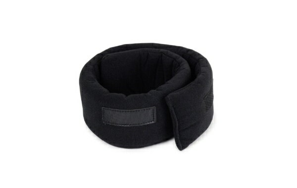 ACCESSBAGS&CASES アクセサリー パッド AALBP