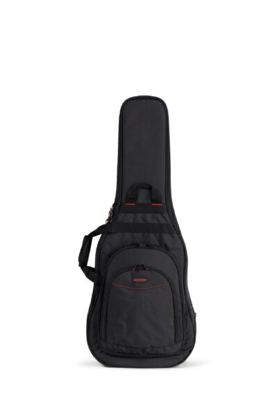 ACCESSBAGS&CASES バッグS2 EG DUAL AB2DBEG1