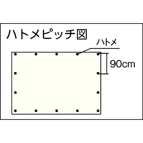 楽天ビック(ビックカメラ×楽天)の萩原工業｜HAGIHARA スケルクリアシート　2.7x3.6m　SC2736《※画像はイメージです。実際の商品とは異なります》｜アングル2