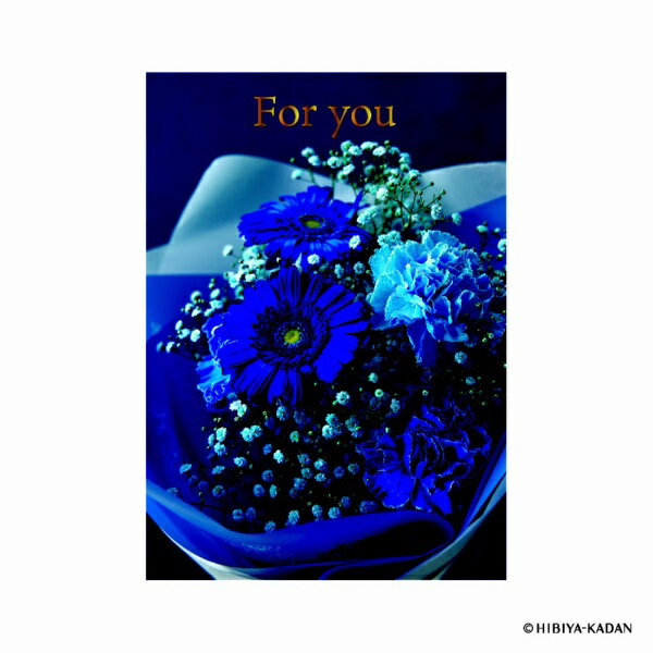 ダイゴー｜DAIGO 日比谷花壇ポストカード for you-1 N7852