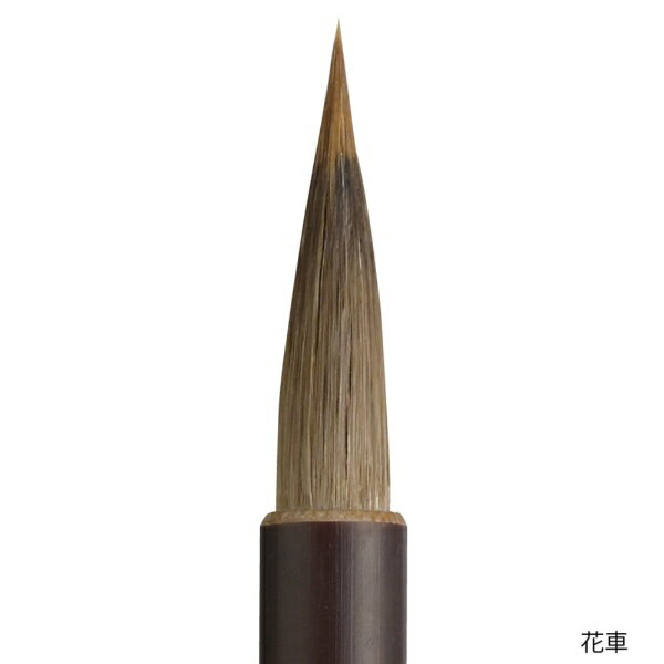 呉竹｜Kuretake 細筆 花車 7号 茶毛 パック JA342-7S 2