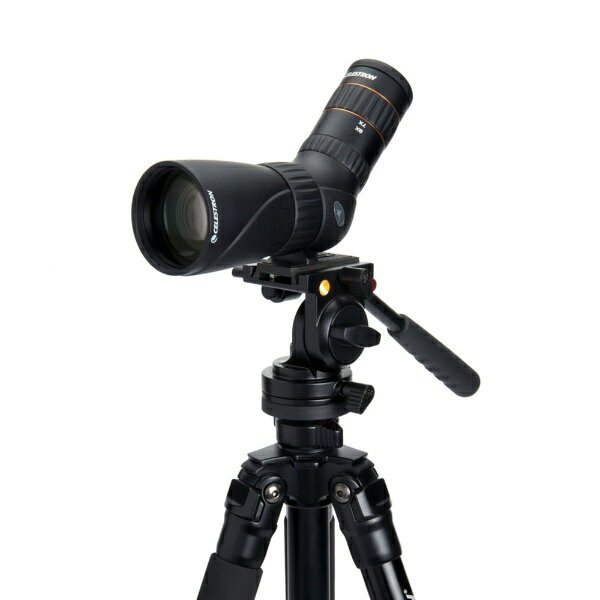 ���쥹�ȥ����CELESTRON Hummingbird 9-27x56mm ED �ޥ��������ݥåƥ��󥰥������� �֥�å� CE-BSHB-52308