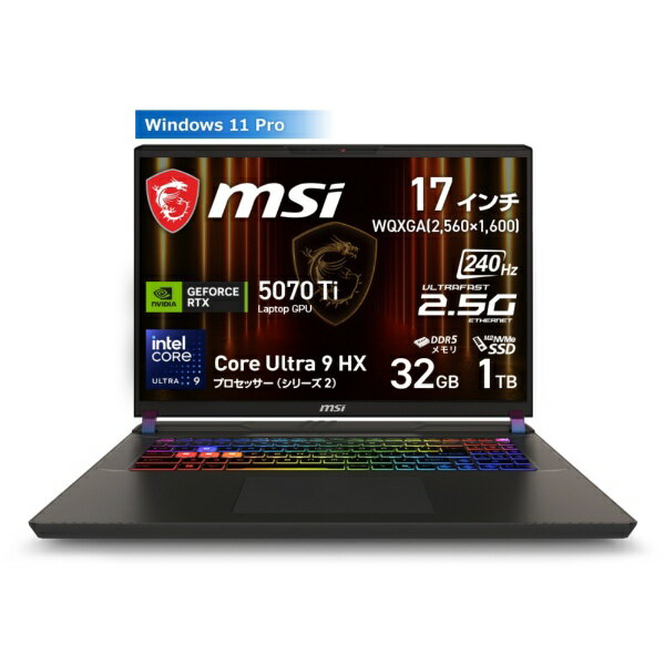 MSI｜エムエスアイ ゲーミングノートパソコン Vector 17 HX AI A2XW(RTX 5070Ti) コスモスグレイ Vector-17-HX-AI-A2XWHG-6369JP 17.0型 /Windows11 Pro /intel Core Ultra 9 /メモリ：32GB /SSD：1TB /2026年2月モデル