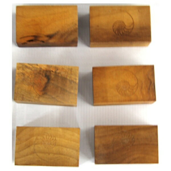 CARDAS｜カルダス インシュレーター Myrtlewood Block（Lサイズ・6個） MYRTLEWOODBLOCK/L