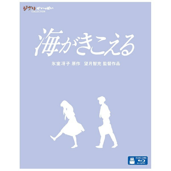 ウォルト ディズニー ジャパン｜The Walt Disney Company (Japan) 海がきこえる 【ブルーレイ ソフト】 【代金引換配送不可】