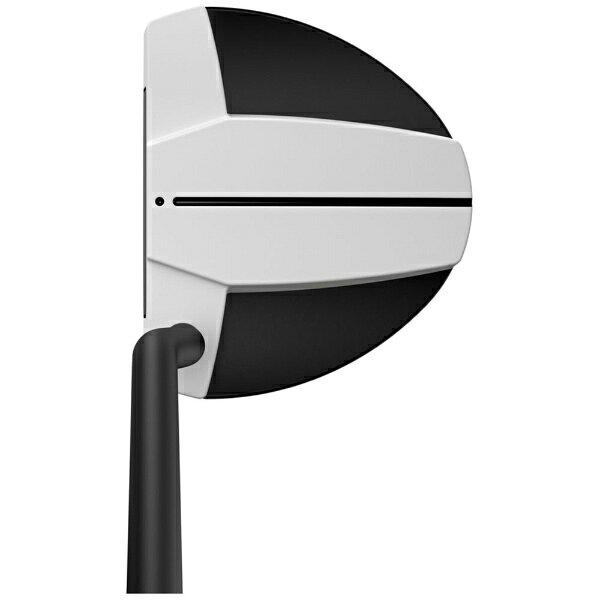 楽天ビック(ビックカメラ×楽天)のピン｜PING パター SCOTTSDALE TEC HAYDEN [34インチ /メンズ /右利き用]｜アングル2