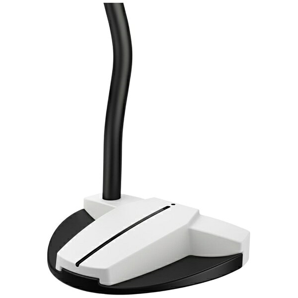 楽天ビック(ビックカメラ×楽天)のピン｜PING パター SCOTTSDALE TEC HAYDEN [34インチ /メンズ /右利き用]｜アングル3