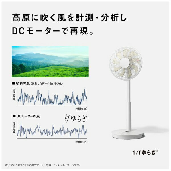 Panasonic｜パナソニック リビング扇風機 ホワイト F-C339D-W [DCモーター搭載 /リモコン付き]