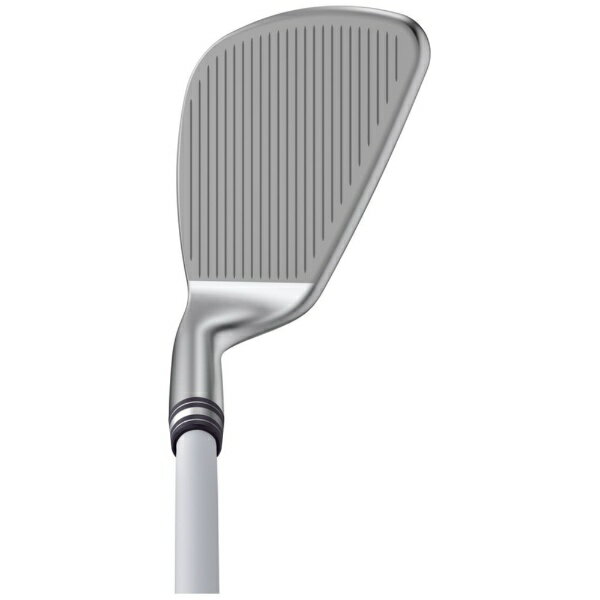 �ԥ��PING ��եƥ� ��ǥ����� �����å� BunkR �Х󥫡� [Wedge /64�� /14.5�� /PING LE WEDGE /1Flex /��������]
