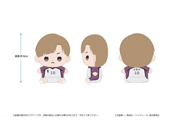 【2026年8月】 東宝｜TOHO ハイキュ— ハイキュー もっちび ぬいぐるみ 白布賢二郎【発売日以降のお届け】 【代金引換配送不可】