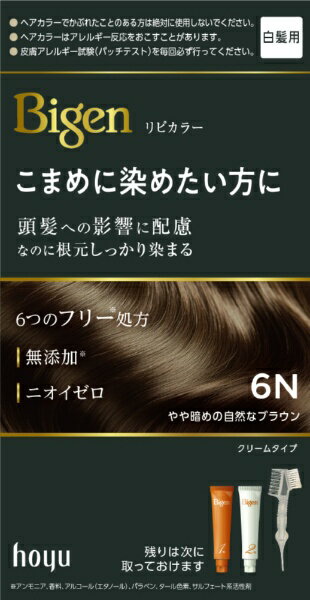 hoyu｜ホーユー ビゲン　リピカラー　6N ビゲン
