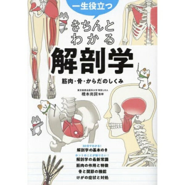 西東社｜saitosya 一生役立つきちんとわかる解剖学