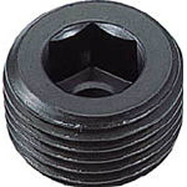 �ȥ饹���滳��TRUSCO NAKAYAMA �ơ��ѡ����ߥץ饰��������PT1��4��14������B830114