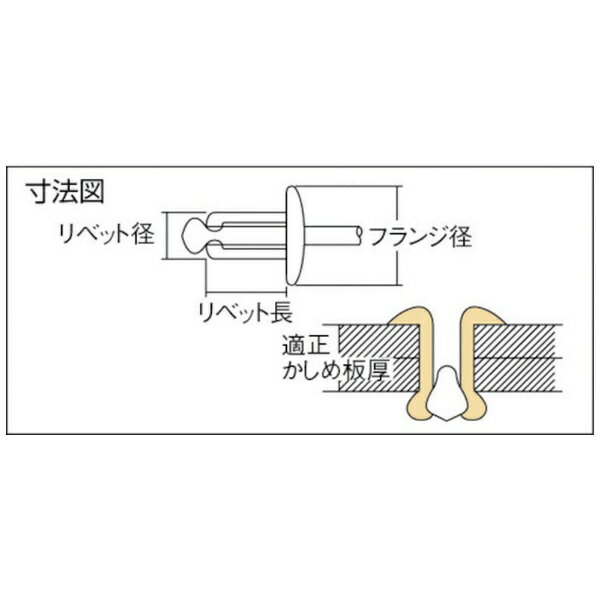 ロブテックス｜Lobtex ブラインドリベット（1000本入）　ステンレス／スティール　...