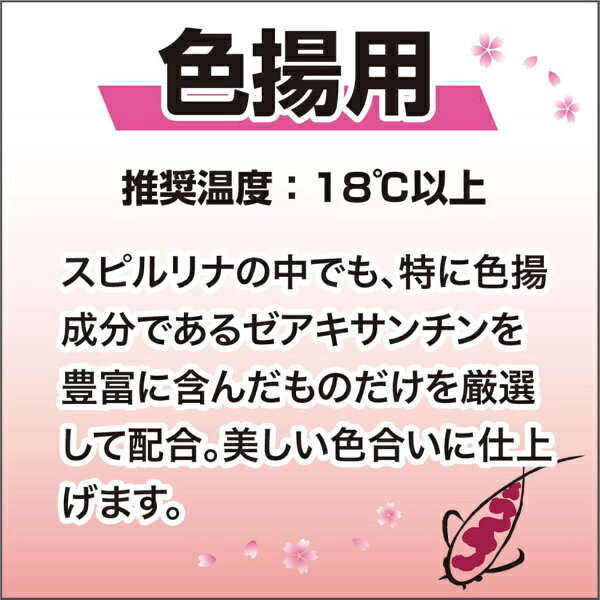 キョーリン｜KYORIN 咲ひかり　色揚用　浮上 L 15kg biccamera-15496199 楽天ビック(ビックカメラ×楽天) サンプル画像3