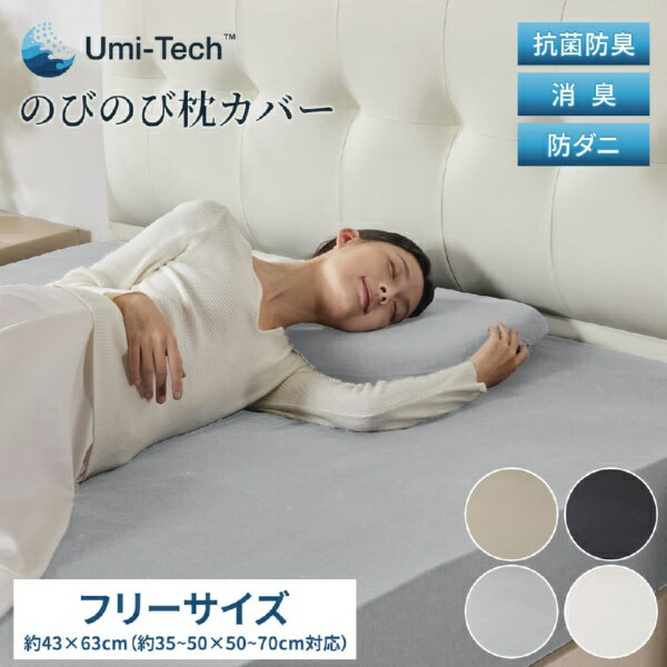 篠原化学｜Shinoharakagaku 快眠タイムズ のびのび枕カバー（同色2枚組）35〜50×50...