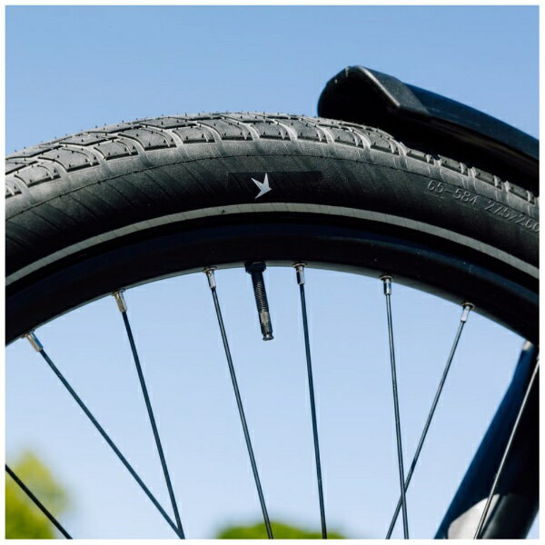 シュワルベ｜SCHWALBE 自転車用タイヤ モーションビッグアップル MOTION BIG APPLE...