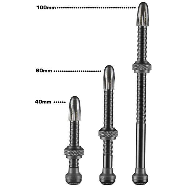 シュワルベ｜SCHWALBE チューブレスバルブ(バルブ長100mm) SW-3472