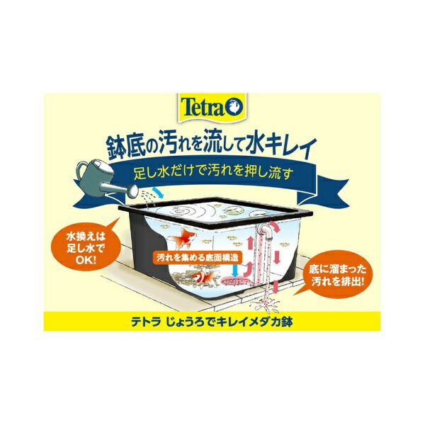 楽天ビック(ビックカメラ×楽天)のスペクトラムブランズジャパン｜Spectrum Brands Japan Tetra（テトラ）じょうろでキレイメダカ鉢　丸　45　みかげ｜アングル3