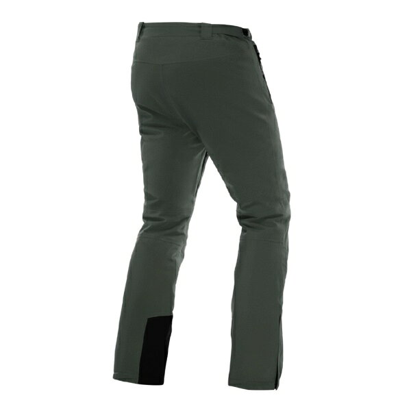 楽天ビック(ビックカメラ×楽天)のダイネーゼ｜DAINESE メンズ スキーパンツ ARIANTE DERMIZAX EV PANTS PINENEEDLE 47600031 [メンズ /Lサイズ]【返品交換不可】｜アングル2