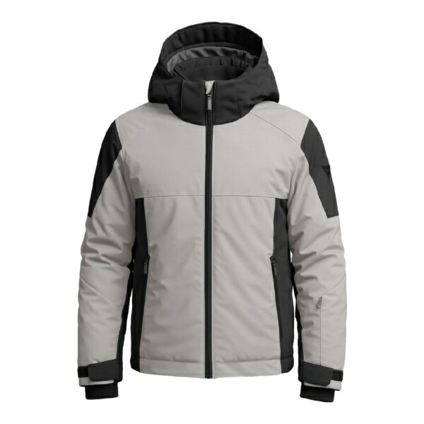 ダイネーゼ｜DAINESE メンズ スキージャケット AETHERIS JACKET MAN LIGHT GREY×STRETCH LIMO 47400087 
