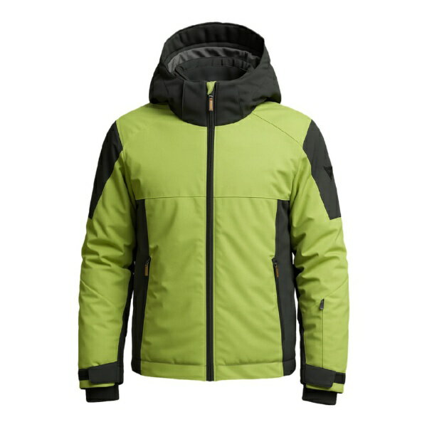 ダイネーゼ｜DAINESE メンズ スキージャケット AETHERIS JACKET MAN WILD LIME×STRETCH LIMO 47400087 