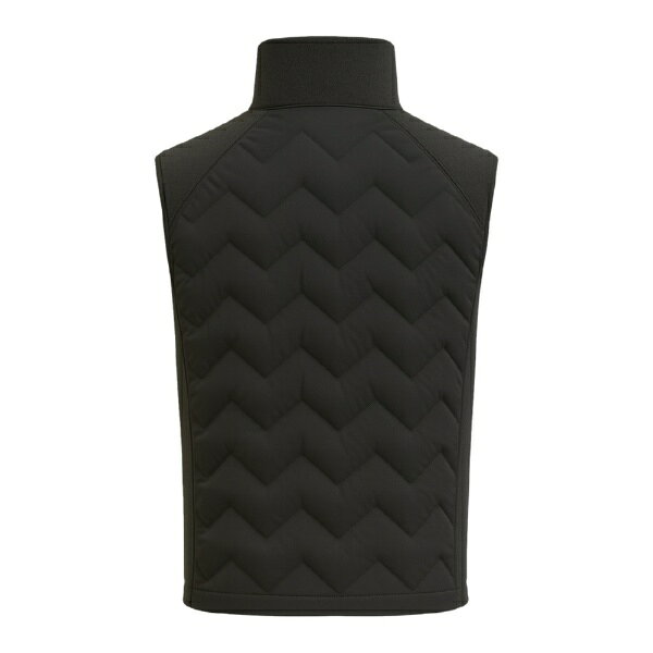 ダイネーゼ｜DAINESE メンズ スキー ミドルレイヤー GLACIUM GILET MAN STRETCH-LI...