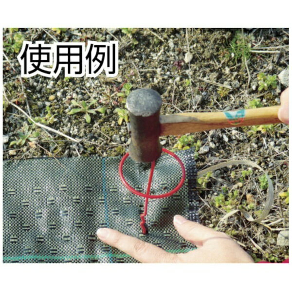 ����ܥ���KINBOSHI �ݷ����󥫡�20cm��10���ȡˡ�7683