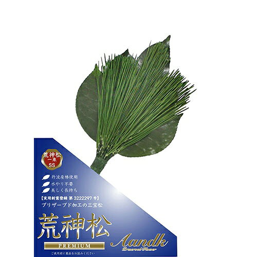 A&K A&K プレミアム荒神松 高級椿葉使用 SSサイズ プリザーブド加工・毎日の水替え不要 KJM-005SS KJM-005SS