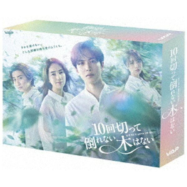 【先着特典付き】【2026年12月09日発売】 バップ｜VAP 10回切って倒れない木はない DVD BOX【DVD】