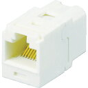 パンドウイット｜PANDUIT カテゴリ6A JJアダプタ（RJ45中継用ジャック） オフホワイ CC6×88IW CC6X88IW