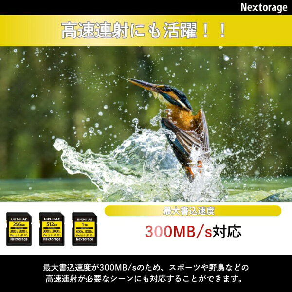 楽天ビック(ビックカメラ×楽天)のNextorage｜ネクストレージ SDXC UHS-IIカード V90 TLC NX-F2AE512G [Class10 /512GB]｜アングル3