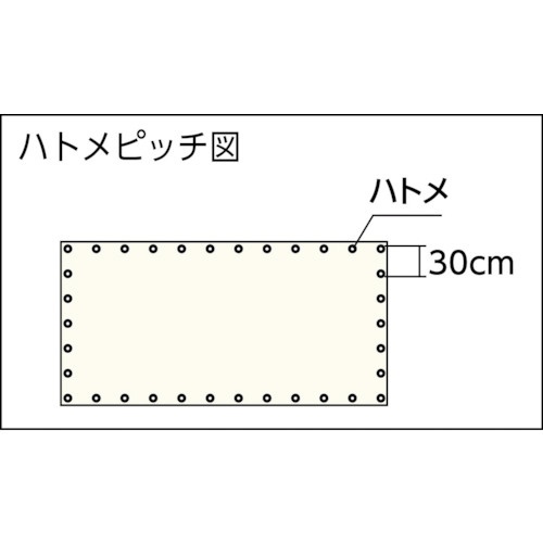 楽天ビック(ビックカメラ×楽天)のトラスコ中山｜TRUSCO NAKAYAMA ライトクリアメッシュシート　幅1．8m×長さ3．4m　クリア　LCM1834TM｜アングル2