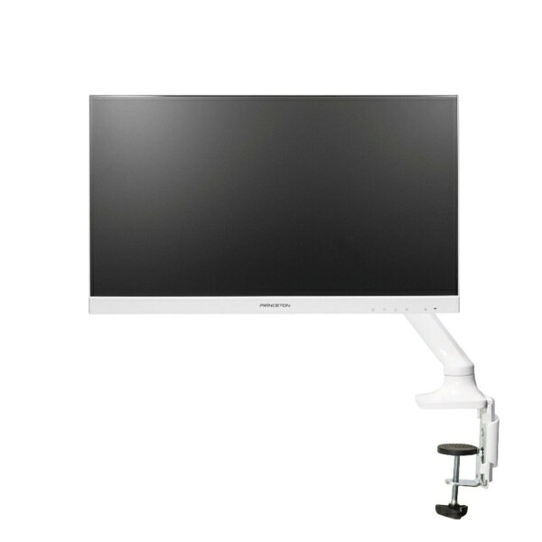 PRINCETON｜プリンストン PTF-B221WA-WH　120HzADSパネル USB Type-C搭載 21.5型フルHD液晶ディスプレイ モニターアーム(White) ホワイト PTF-B221WA-WH [21.5型 /フルHD(1920×1080) /ワイド]