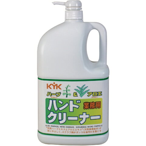古河薬品工業 KYK ハーブ＆アロエ ハンドクリーナー2L（1本） 35−021