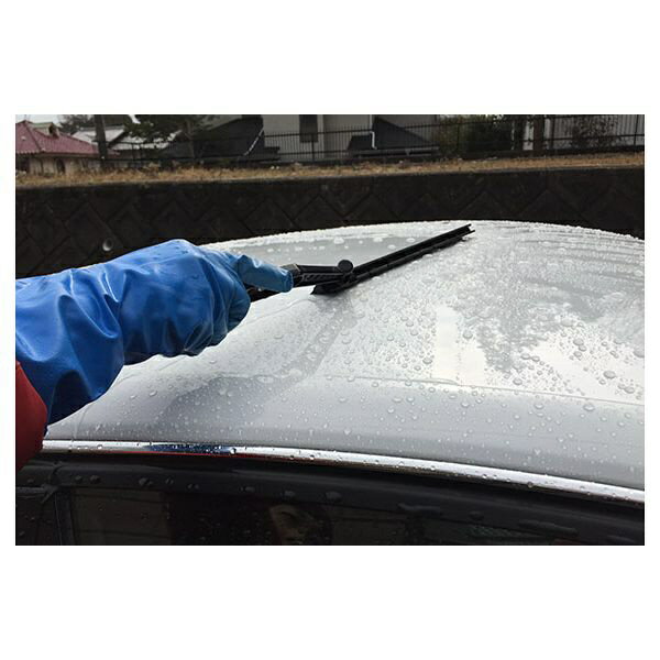 ���ե�99��soft99 04006���������ʡ����꡼��磻�ѡ������ָ�ο��ڤ���