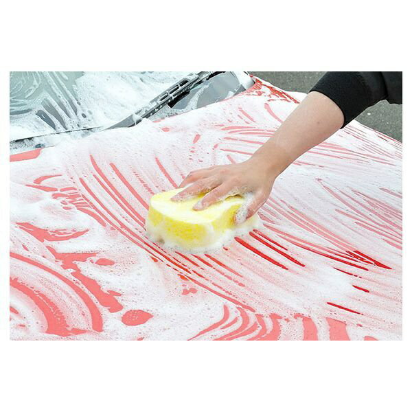 ���ե�99��soft99 04045���������ʡ����֥��ݥ󥸡�PRO����ư��������