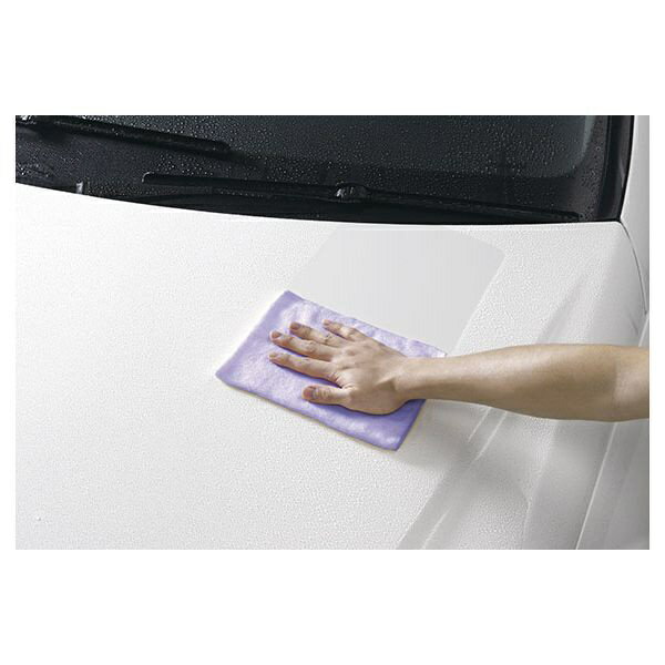 ���ե�99��soft99 04207���������ʡ���ۿ塡�쥮��顼�����������ָ�εۿ�