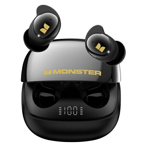 HIFIMAN｜ハイファイマン 完全ワイヤレスイヤホン SVANARWIRELESSJR [ワイヤレス(左右分離) /カナル型 /ノイズキャンセリング対応 /Bluetooth対応]