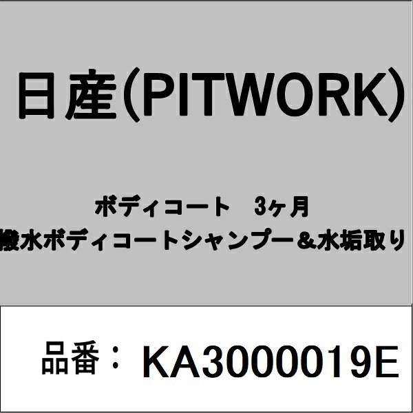PITWORK｜ピットワーク KA3000019E ボディコート　3ヶ月　撥水ボディコートシャン...